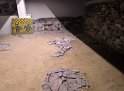 IMG_20240925_113843