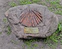 IMG_20240925_144008