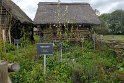 IMG_20240925_150659