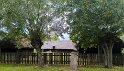 IMG_20240925_154031