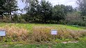 IMG_20240926_104455