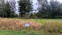 IMG_20240926_104457
