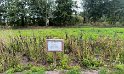 IMG_20240926_104559