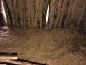 IMG_20240926_110452