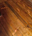IMG_20240926_150353