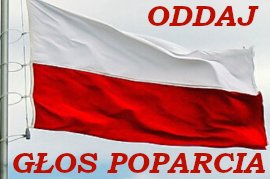głosuj